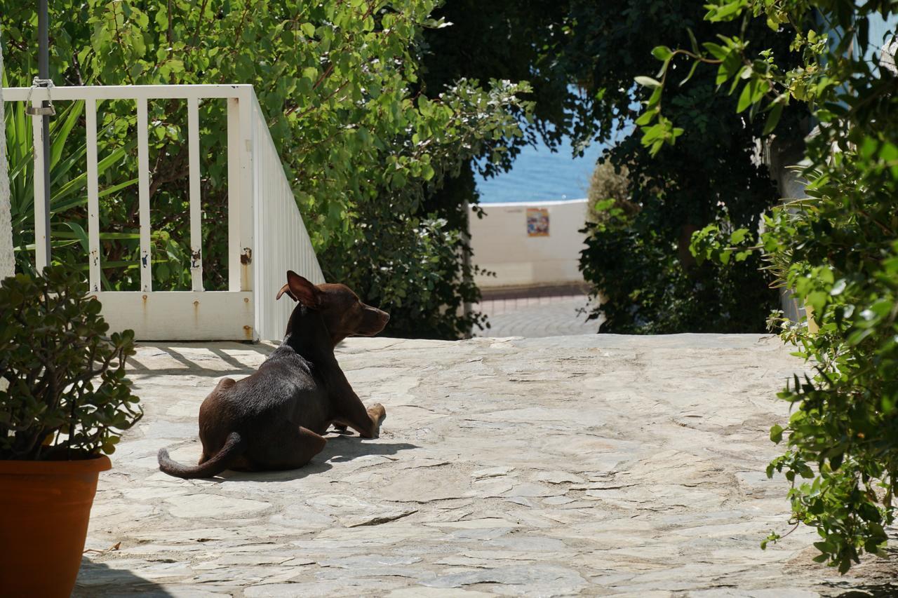 Hotel Galini Mare Agia Galini Exterior foto